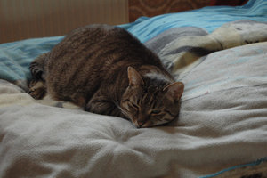 DSC_2902.JPG DSC_2902.JPG