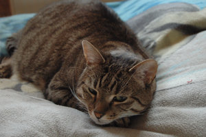 DSC_2903.JPG DSC_2903.JPG