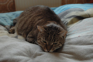 DSC_2904.JPG DSC_2904.JPG