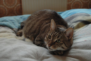 DSC_2905.JPG DSC_2905.JPG