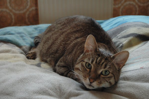 DSC_2906.JPG DSC_2906.JPG