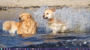 Screenshot Kopie.jpg