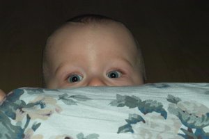 SDIM0212jpg.jpg SDIM0212jpg.jpg