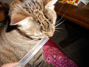 DSCN0564.JPG DSCN0564.JPG