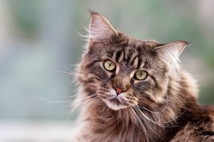 comp-12002KU_1529.jpg comp-12002KU_1529.jpg