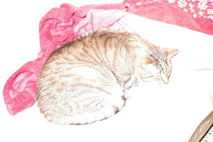 DSC_2931.JPG DSC_2931.JPG