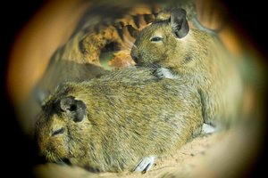 FarbrattenSpass (1 von 1).jpg