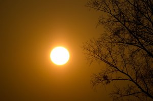 DSC_0178b_1600x1060.jpg DSC_0178b_1600x1060.jpg