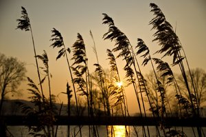 DSC_0169b_1600x1060.jpg DSC_0169b_1600x1060.jpg