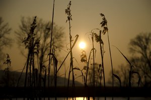 DSC_0160b_1600x1060.jpg DSC_0160b_1600x1060.jpg