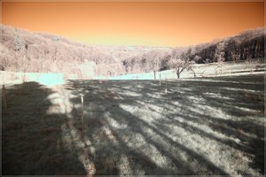 comp_IMG_2274 Test org.jpg