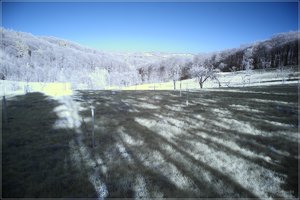 comp_IMG_2274 Test org farbent.jpg