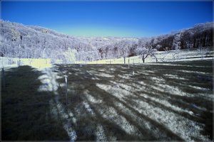 comp_IMG_2274 Test org farbent bearb.jpg