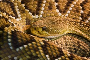 comp_IMG_6474Terrazoo Rheinberg.jpg