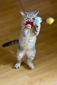 IMG_8547.jpg IMG_8547.jpg