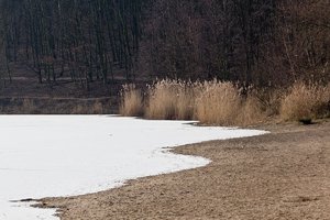 Waldsee Moers-6.jpg