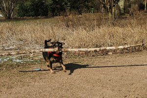 SDIM0249.jpg SDIM0249.jpg