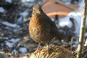 800-DSC_3283.jpg 800-DSC_3283.jpg