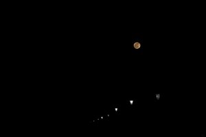 Mond_08022012_1200.JPG