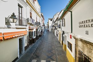 sample 10.jpg sample 10.jpg