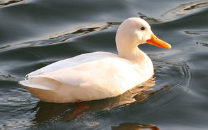 img_2497_passig_gemacht (1).jpg