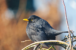 1200-DSC_3671.jpg 1200-DSC_3671.jpg