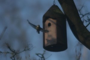 IMG_5880.jpg IMG_5880.jpg