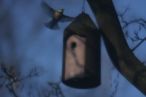 IMG_5885.jpg IMG_5885.jpg