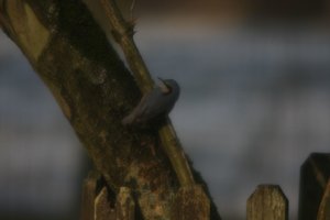 IMG_5931.JPG IMG_5931.JPG