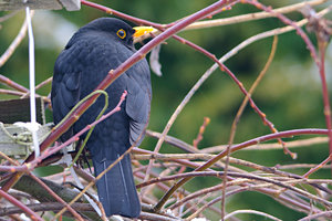 1200-DSC_3775.jpg 1200-DSC_3775.jpg