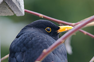 1200-DSC_3780.jpg 1200-DSC_3780.jpg