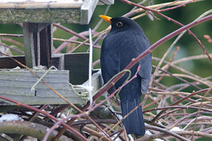 1200-DSC_3794.jpg 1200-DSC_3794.jpg