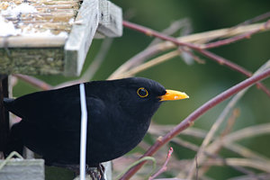 1200-DSC_3806.jpg 1200-DSC_3806.jpg