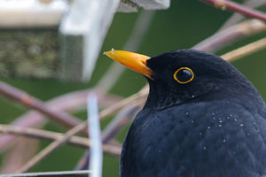 1204-DSC_3799.jpg 1204-DSC_3799.jpg