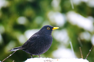 1204DSC-3809.jpg 1204DSC-3809.jpg