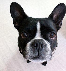 500KbPauline_1200.jpg 500KbPauline_1200.jpg