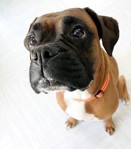 500KbLuna-N_1200.jpg 500KbLuna-N_1200.jpg