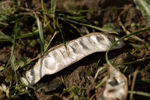 SDIM0703.jpg SDIM0703.jpg