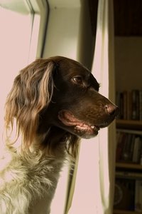 Rosige Zeiten SDIM8106 Adobe Camera RAW (c) PPf.jpg Rosige Zeiten SDIM8106 Adobe Camera RAW (c) PPf.jpg