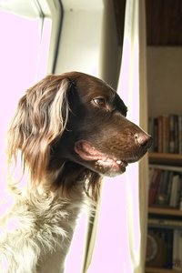 Rosige Zeiten SDIM8106 spp5 auto (c) PPf.jpg Rosige Zeiten SDIM8106 spp5 auto (c) PPf.jpg