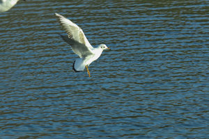 SDIM2392-bearbeitet-web.jpg SDIM2392-bearbeitet-web.jpg