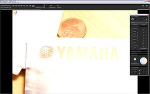 sample 31.JPG sample 31.JPG