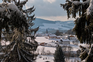 Aussicht vom Baumwipfelpfad.jpg