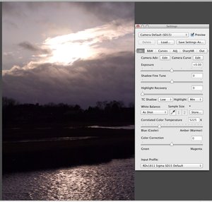 RAW Developer 1.9.4.jpg