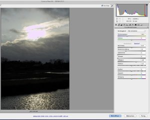 Camera Raw 6.6 -Automatisch-Entwicklung.jpg