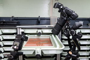 20120221-ForellenLaich-VR2_0781.jpg 20120221-ForellenLaich-VR2_0781.jpg