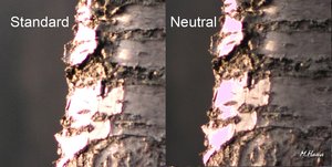 09_SDIM1510_SPP 5.2 ST_Neut.jpg