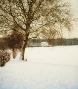 winter_scenery_no_2.jpg