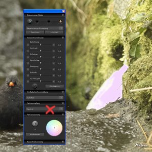 03_SPP 5.2 Neutral.jpg