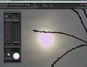 Sigma Pink Clipping -SD15 Pink Clipping 2.jpg